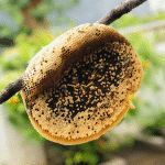 Wild Honey (250g) - Image 3