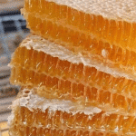 Fertility Pack - Image 4