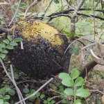 VIP Package - Image 6