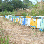 Gift Package - Image 2