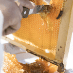 Energy Pack - Image 3