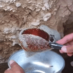 Wild Honey (250g) - Image 4